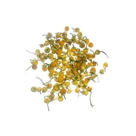 Têtes de camomille (1kg)- Vendu par 1 (1/2)