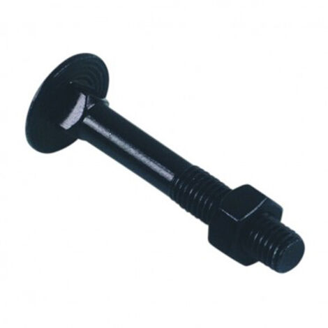 Boulon tête ronde collet carré TRCC zingué noir 6x60 LENNIE - Boite de 100 - BTRCC0606006B