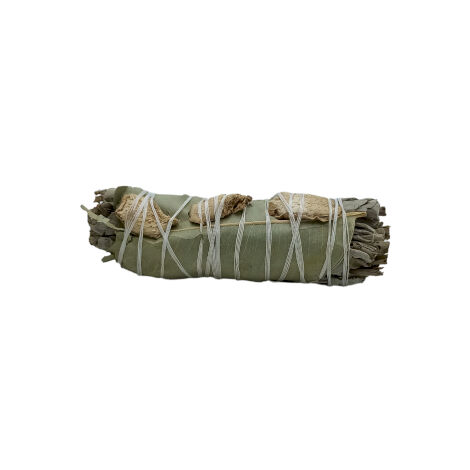 Bâton de maculage - Sauge Blanche. Eucalyptus et Gingembre- Vendu par 1 (1/2)
