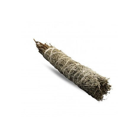 Smudge Stick - Sauge Bleue 22,5 cm- Vendu par 1 (1/4)