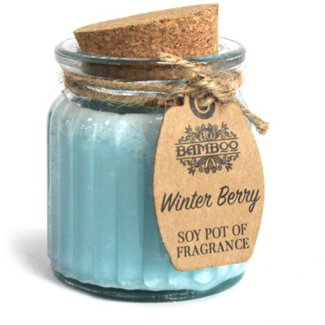 Pot de bougies parfumées aux baies d'hiver et au soja- Vendu par 1 (1/4)