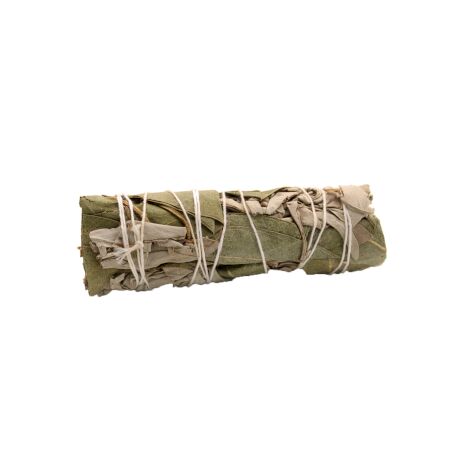 Smudge Stick - Sauge Blanche & Cèdre 10cm- Vendu par 1 (1/3)