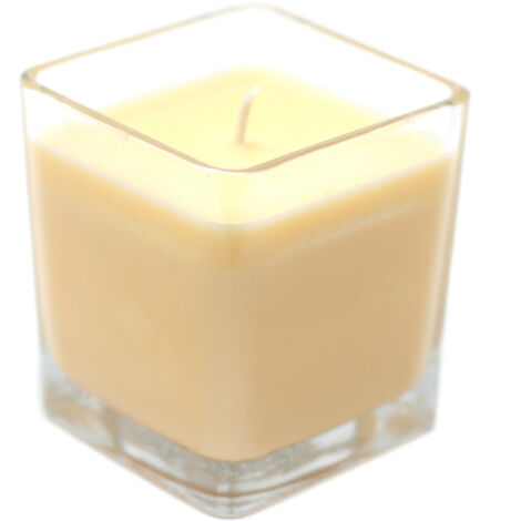 Bougie en pot de cire de soja White Label - So Delicious- Vendu par 1 (1/4)