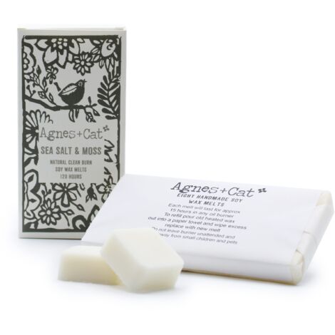 Boîte de 8 Wax Melts - Seasalt + Moss- Vendu par 1