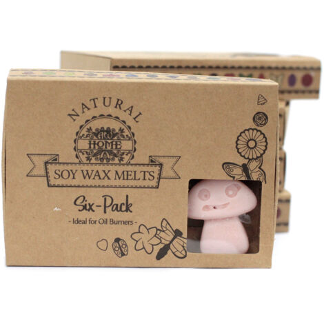 Coffret cadeau de 6 cires fondues - Vieux Gingembre- Vendu par 1 (1/4)