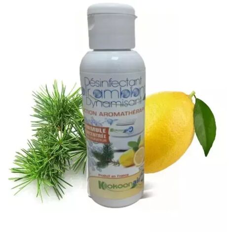 DEPOLLUANT CONCENTRE SPECIAL DYNAMISANT REVITALISANT 125ML (1/5)