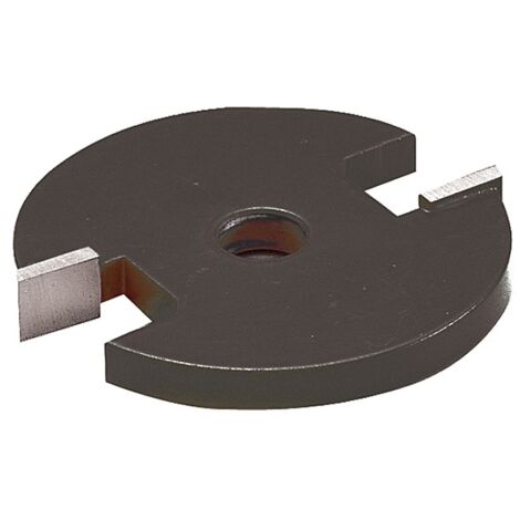 Disque à rainer HM - Diam. 48 mm - Al. 8 mm - LEMAN - 4708.750.00 (1/5)