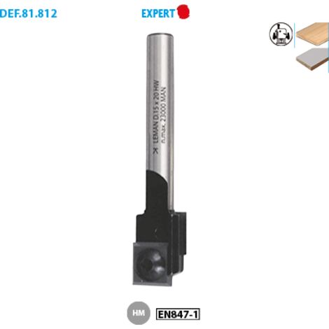 MECHE A RAINER 2 PLAQUETTES HM D16 Q8 LU20 / LT70 (1/3)