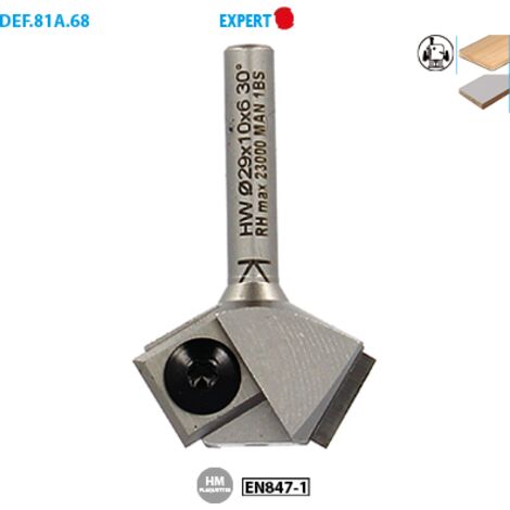 MECHE AFFLEUR. 2 PLAQUETTES CHANFREIN 45° D29 Q8 HM - 818.745.00 - LEMAN (1/5)