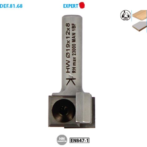 Mèche d'affleureuse à plaquettes réversibles Expert ø 19 ø Queue 6 Long. 42mm