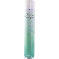Désodorisant surpuissant stromboli 750ml - PRODIFA - DESODORISANT