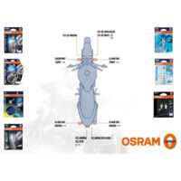 Kit Ampoule KTM Duke 125 2011