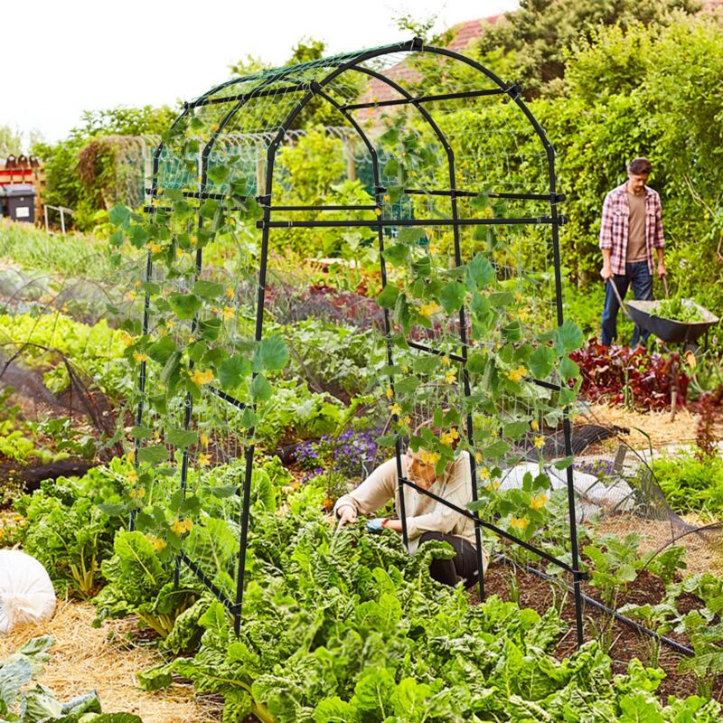 Arche De Jardin Résistante Aux Intempéries FineHome - Métal Revêtu Vert 240 X 140 X 36 Cm - Treillis Pour Roses Et Plantes Grimpantes
