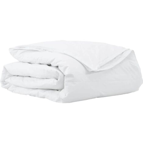 Couettes & Duvets Blanc 200 x 220 cm Bas CFW88782 (1/5)