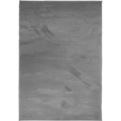 Tapis de sol,Tapis OVIEDO à poils courts anthracite 200x280 cm CFW669627 (1/5)