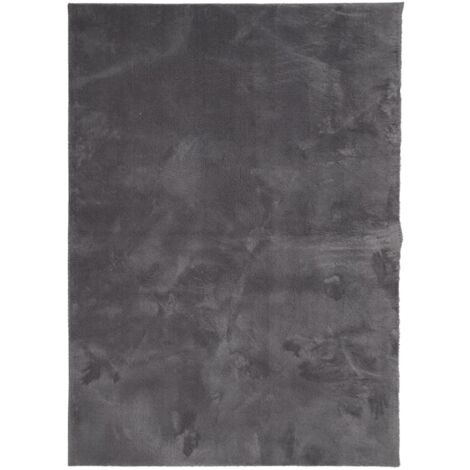 Tapis HUARTE à poils courts doux et lavable anthracite 80x200cm | Leroy