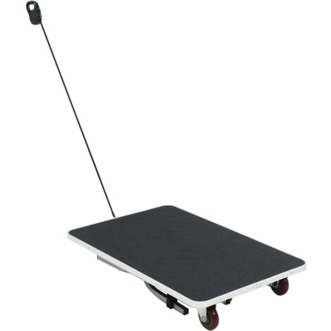 Table de toilettage pour chien portable avec roulettes CFW948364