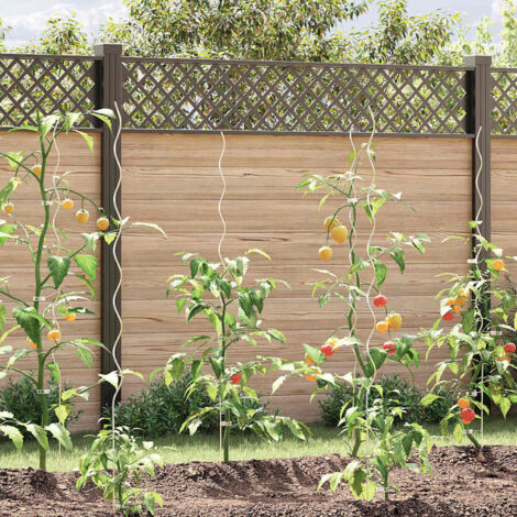 vidaXL 20x Supports de Plantes en Spirale Support de Croissance de Légumes Tomates Plantes Grimpantes Jardin Cour Acier Galvanisé 170 cm