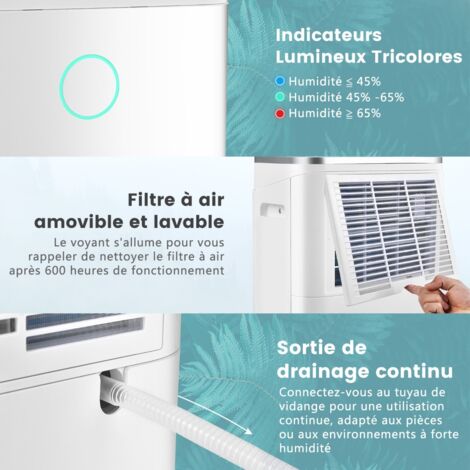 Déshumidificateur pour cave : fonctionnement, prix et avis Déshumidificateur pour cave : fonctionnement, prix et avis