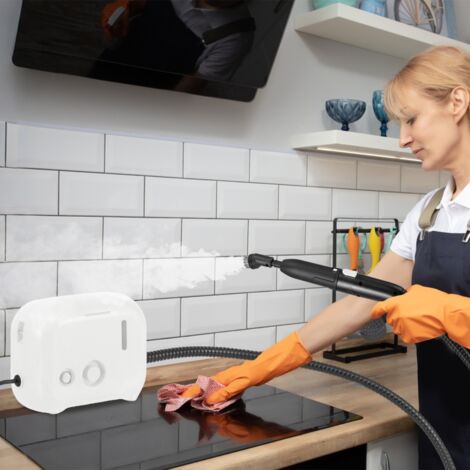 Détachant à Vapeur Portable 1600W Nettoyeur à Vapeur Domestique avec Réservoir d'Eau de 1 L Machine à Vapeur Pressurisée Chauffage en 10 Secondes Blanc (1/5)