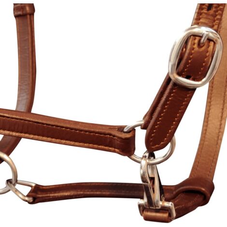 Licol Licou en cuir réglable pour écurie Cheval Marron CFW810887 (1/5)