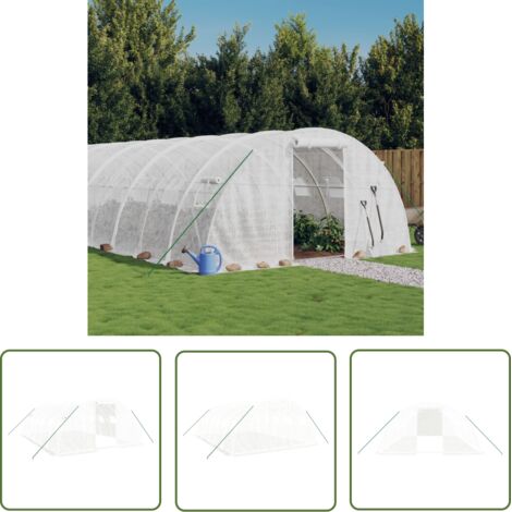 Serre de Jardin Serre d'hivernage Serre tunnel avec cadre en acier blanc 24 m² 6x4x2 m NSME2766 (1/5)