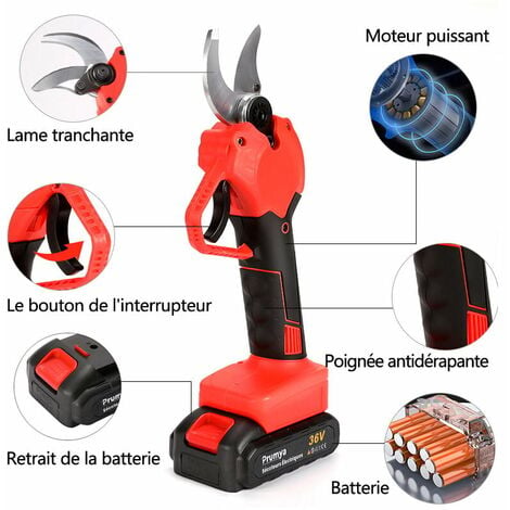 Sécateur éléctrique professionnel avec batterie.