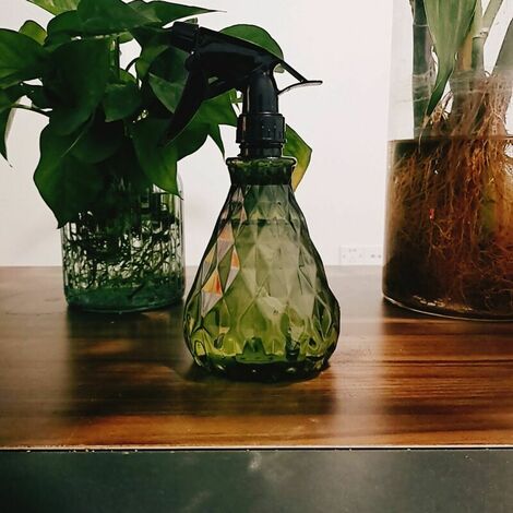 jardin portable ménage brumisateur pour plantes bouteille vaporisateur  d'eau