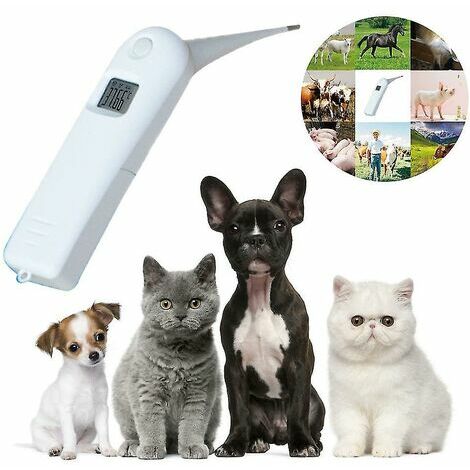 XVX Thermomètre pour animaux de compagnie Thermomètre électronique