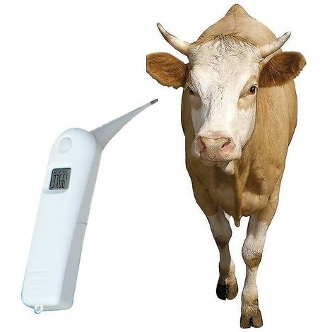 Thermomètre à usage vétérinaire pour animaux de compagnie Infraed