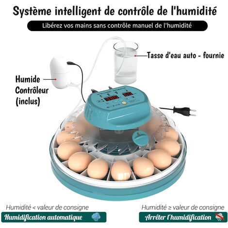 Couveuse Automatique Pour Œufs DETODDA - 8 Œufs, Retournement Auto, Contrôle Température/Humidité - Pour Poules, Cailles, Etc.