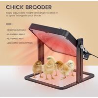 Plaque Chauffante Pour Poussins 27x27 Cm - Température Réglable 45-75°C, Hauteur Ajustable, 15W, Pour 15 Poussins