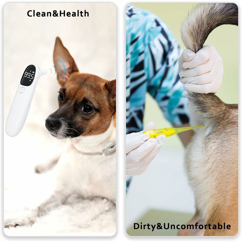 Thermomètre pour chien sans contact, thermomètre auriculaire pour chiens et  vétérinaire, mesure rapidement la température de l'animal en 1 seconde