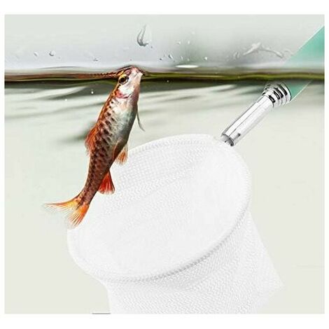 2 pièces Carré Épuisette Filet de Pêche Epuisette Aquarium Petit Filet de  Pêche avec Poignée en Plastique pour Aquariophilie Poisson Crevette