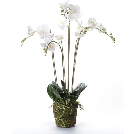 Unico Design Emerald Orchidea Artificiale con Muschio Bianca 90 cm 20.355  Magnifico it - Bianco43496