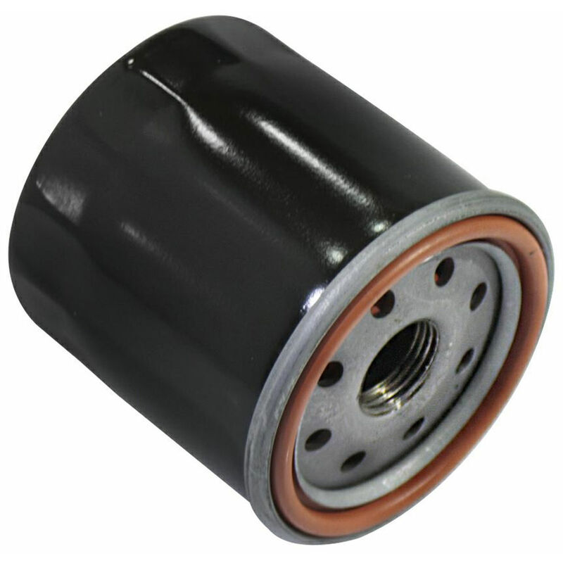 Tecnogarden Filtro Olio Compatibile Per Kawasaki FH601-770, FJ180V, FH 381-721 Kawasaki Mitsubishi - Foto 8