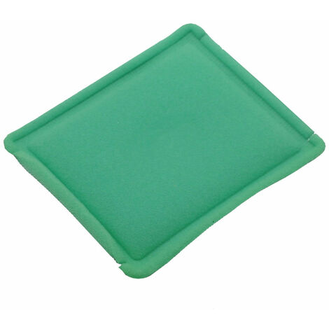 Briggs And Stratton Filtro Dell'Aria Originale 795066 : Briggs &amp; Stratton