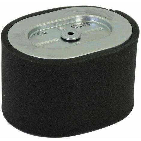 Filtro aria Motori ad albero orizzontale 25T200 BRIGGS &amp STRATTON