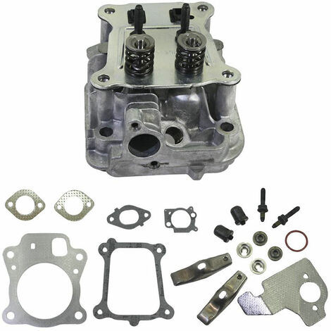 TESTATA BRIGGS &amp STRATTON - 796471