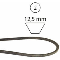 CINGHIA 1295 A 130801 37X61 532144959 144959 -520225