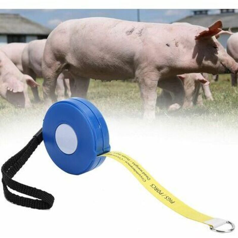 Mètre À Ruban Rétractable, 250 Cm Mètre À Ruban, Ruban De Mesure Du