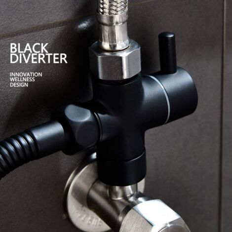 Support Mural Pour Douchette De WC - Acier Inoxydable Et ABS - Design Moderne - Installation Facile Sans Plombier