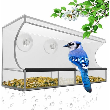 Mangeoire à oiseaux pour animaux avec fenêtre automatique pour alimentation  en plein air avec ventouse suspendue plateau de graines