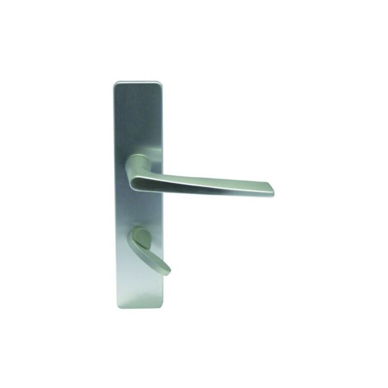 ASSA ABLOY - Lot De 2 Poignées De Porte Argentées - Petite Plaque - L - Acier - France