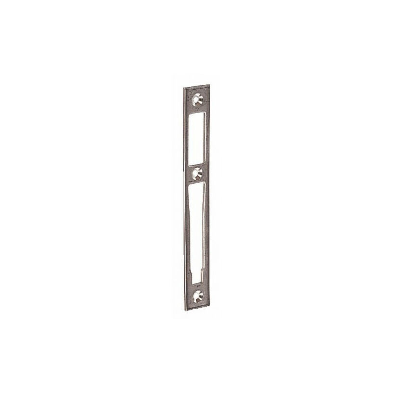 Gache Plate Inox L24 X 175 Gache Plate Inox L24 X 175