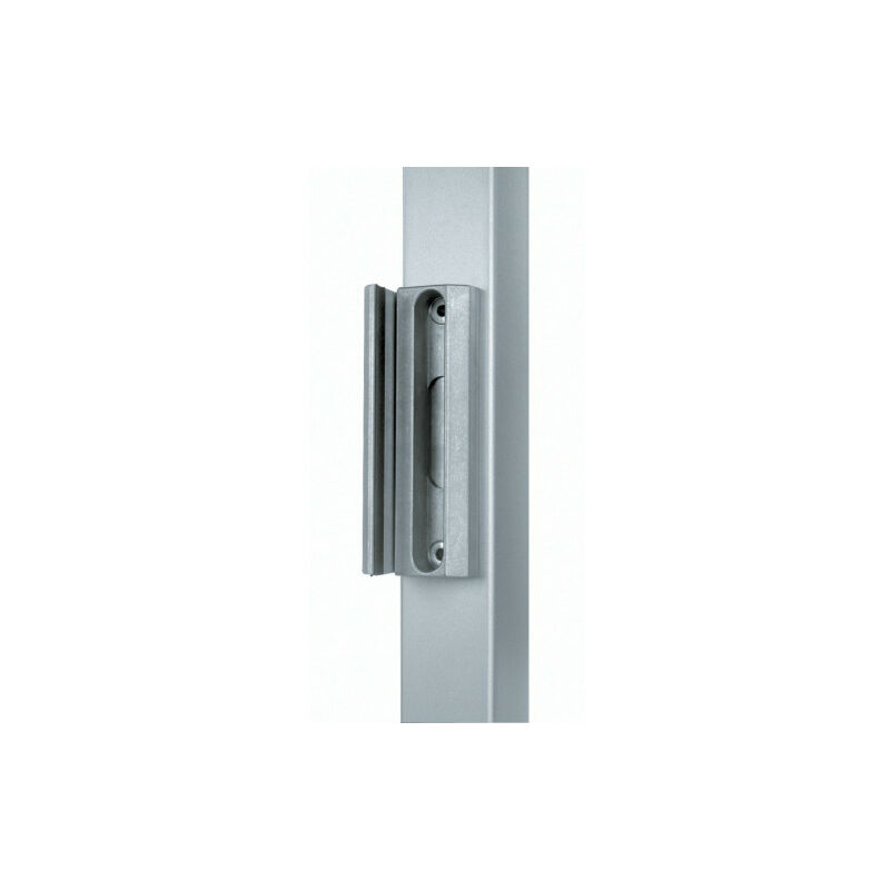 Gâche pour serrure LAKQ LOCINOX Argent                                                                  Brut