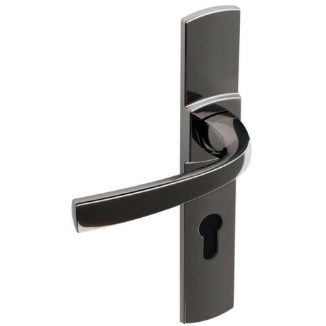 Ensemble sur grande plaque MUZE type clé I finition platine - VACHETTE - 086426