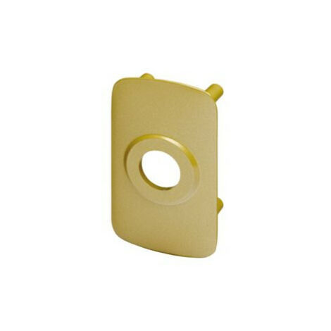 Contre-plaque 70V pour verrou CYCLOP - ASSA ABLOY VACHETTE (1/5)