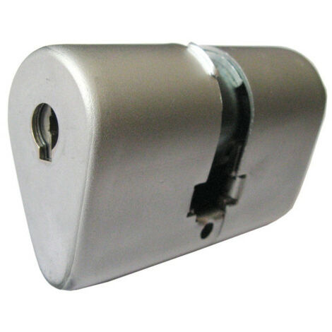 Bricard – Cylindre de serrure monobloc ovoïde BLOCTOUT 33x33mm inox – Rotor polyacétal – Protection contre crochetage – Durabilité accrue