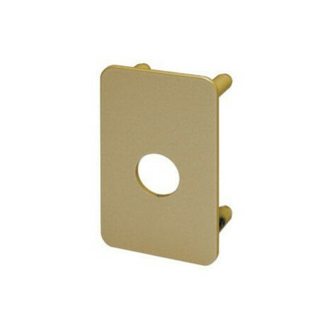 Contre-plaque 754V pour verrou Radialis - ASSA ABLOY VACHETTE 25 Bronze